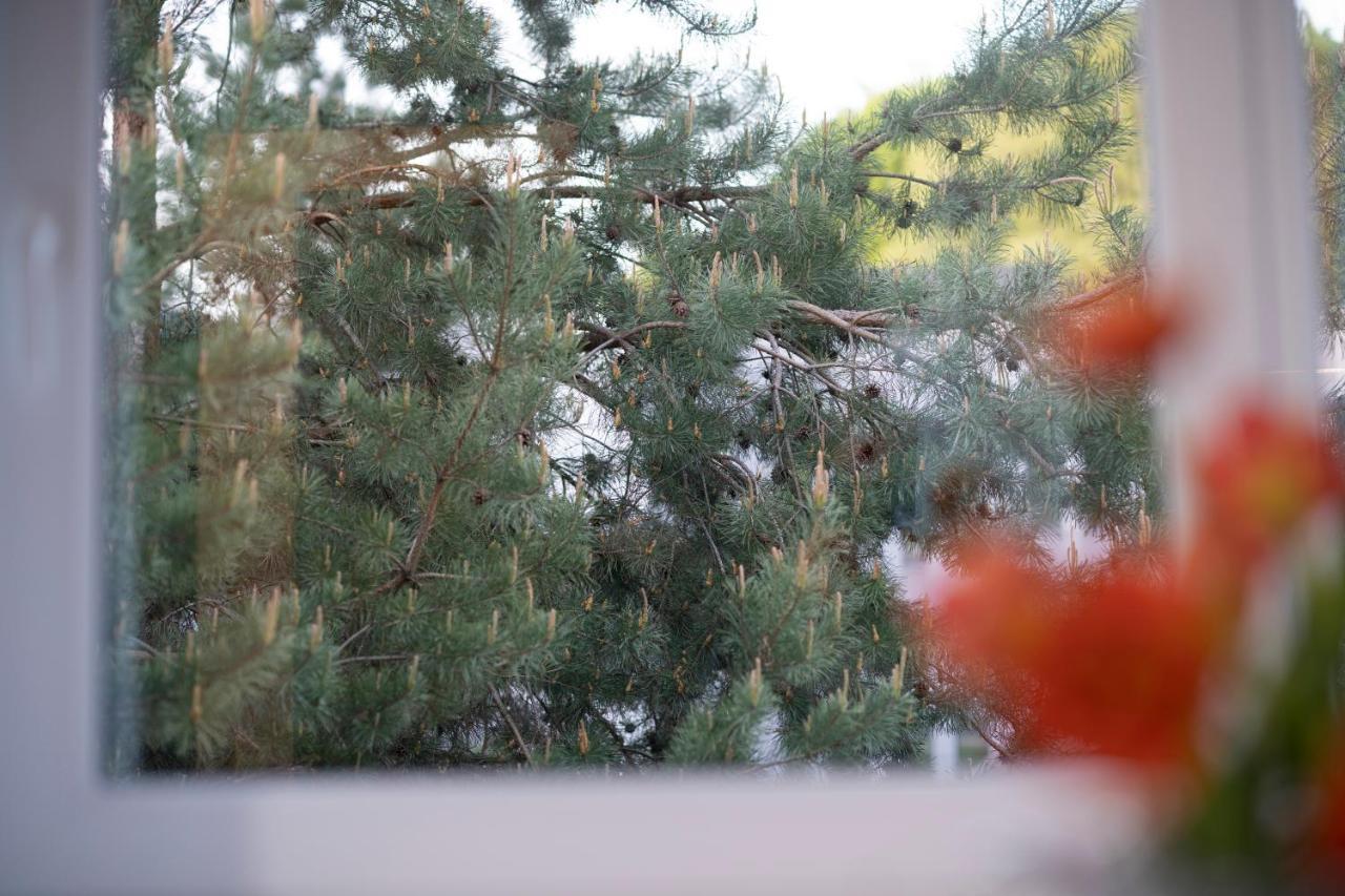 Villa Acacia カウナス エクステリア 写真